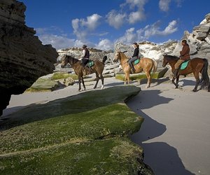 Week 5 of 2014 - Gansbaai News, Specials & Events